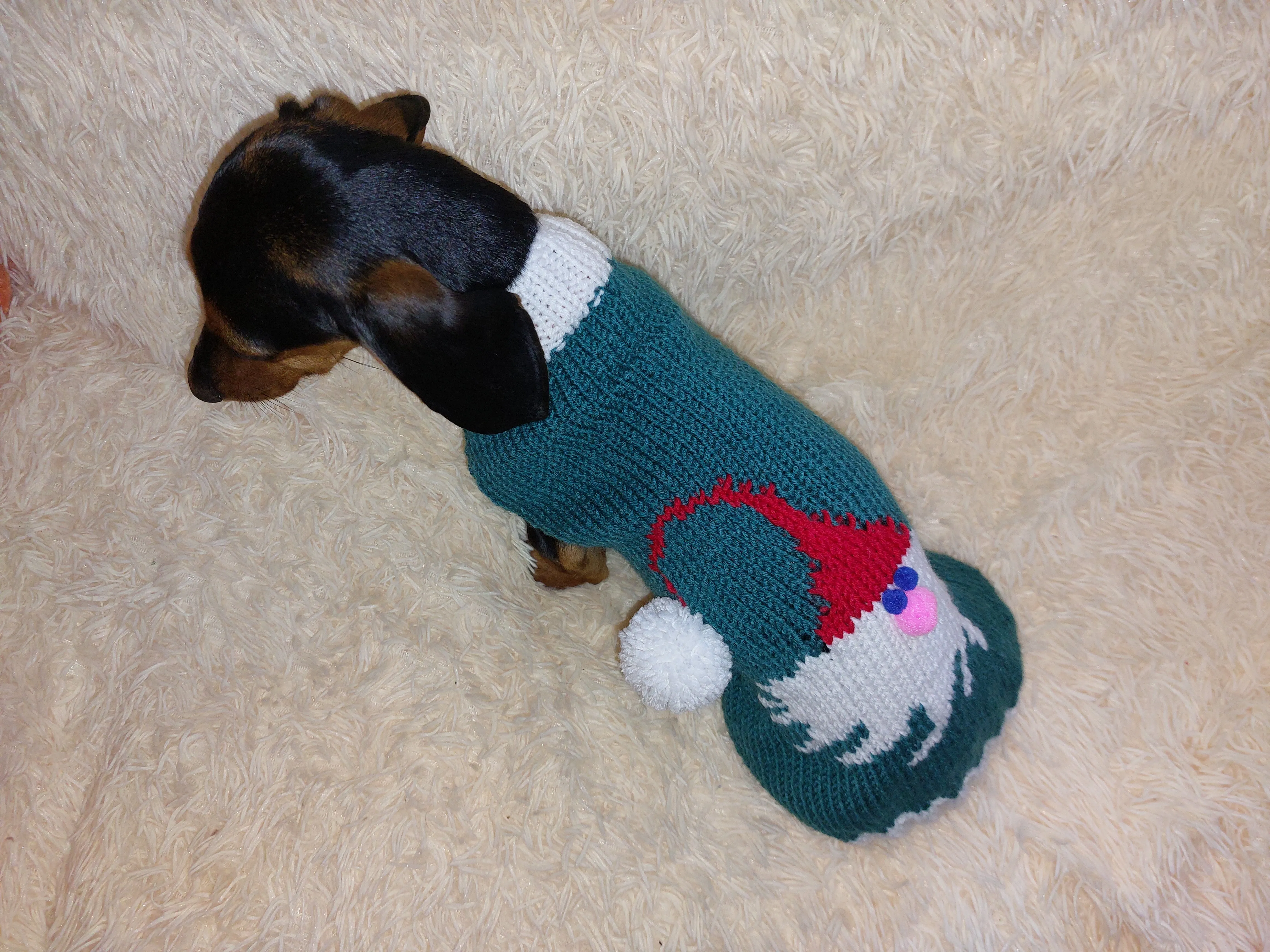 christmas santa claus outfit for dachshund sweater