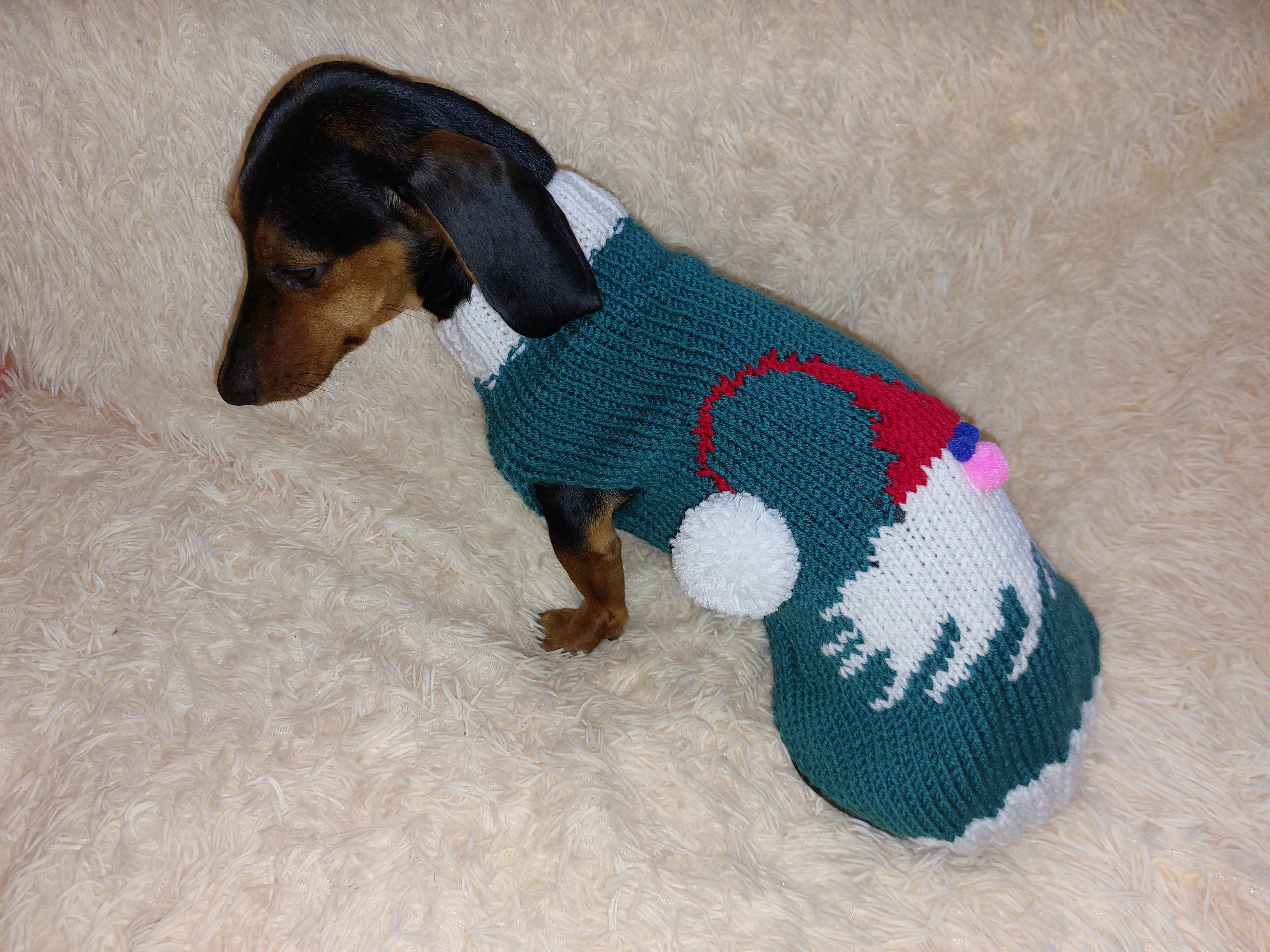 christmas santa claus outfit for dachshund sweater