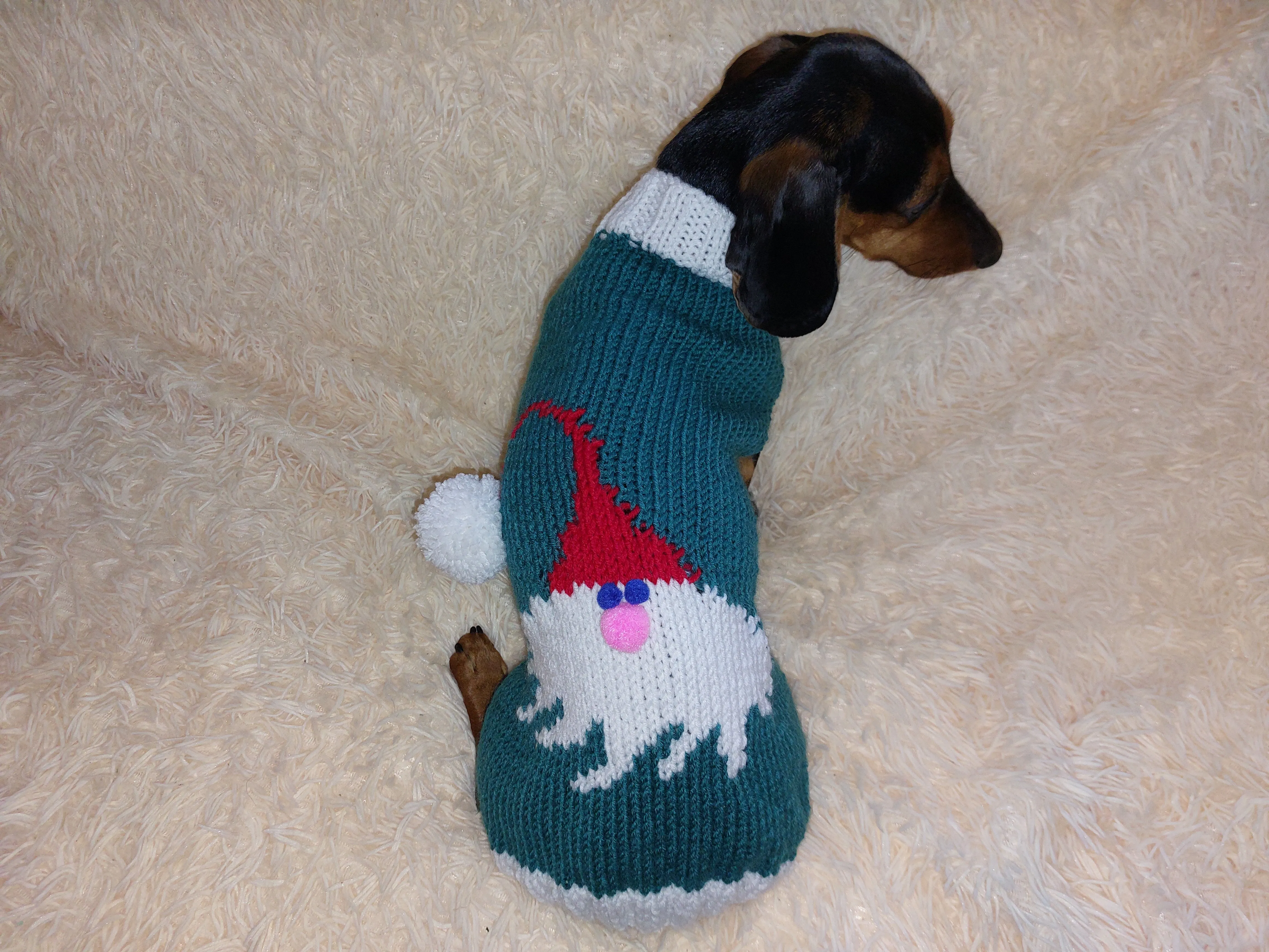 christmas santa claus outfit for dachshund sweater