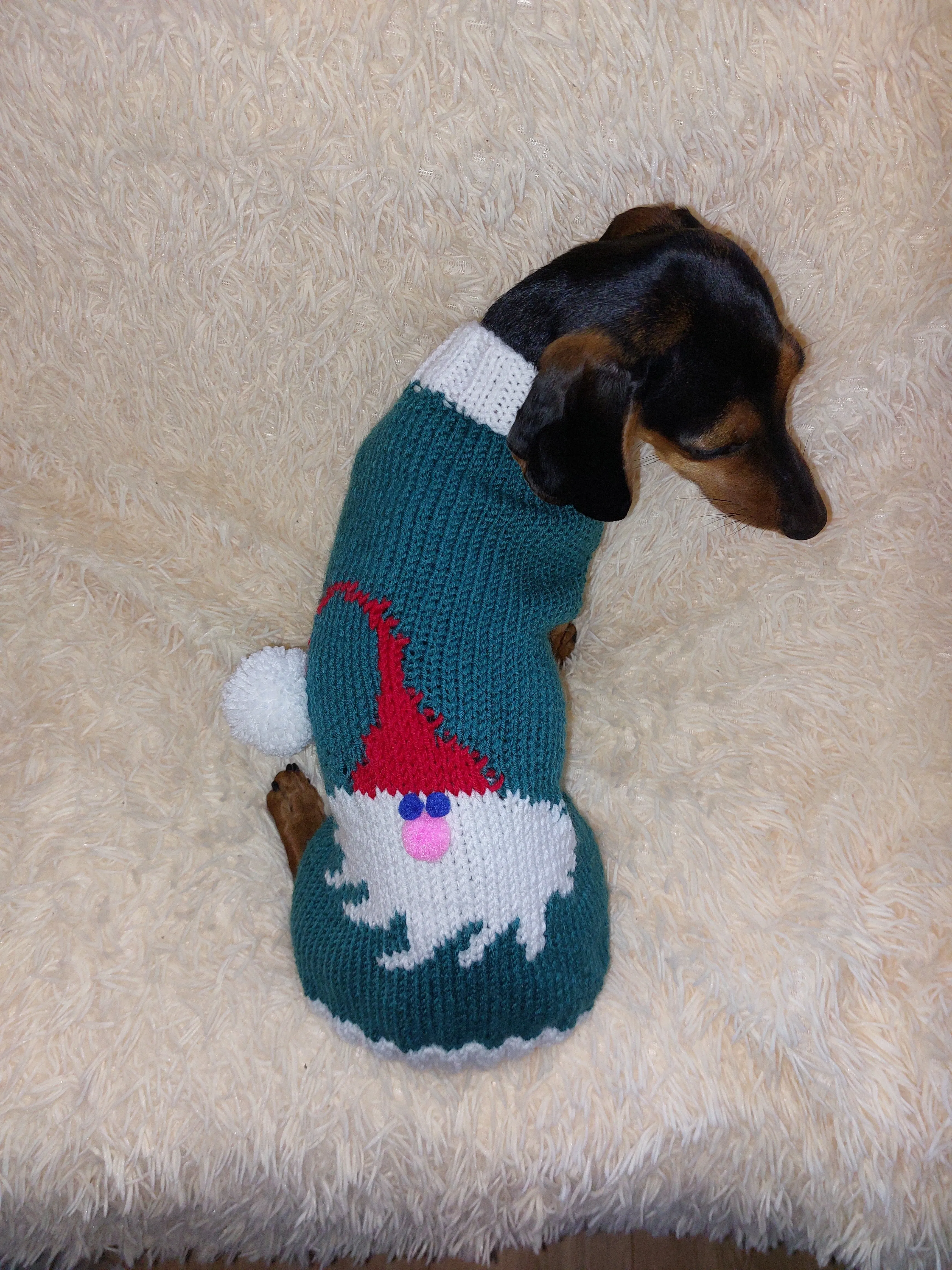 christmas santa claus outfit for dachshund sweater