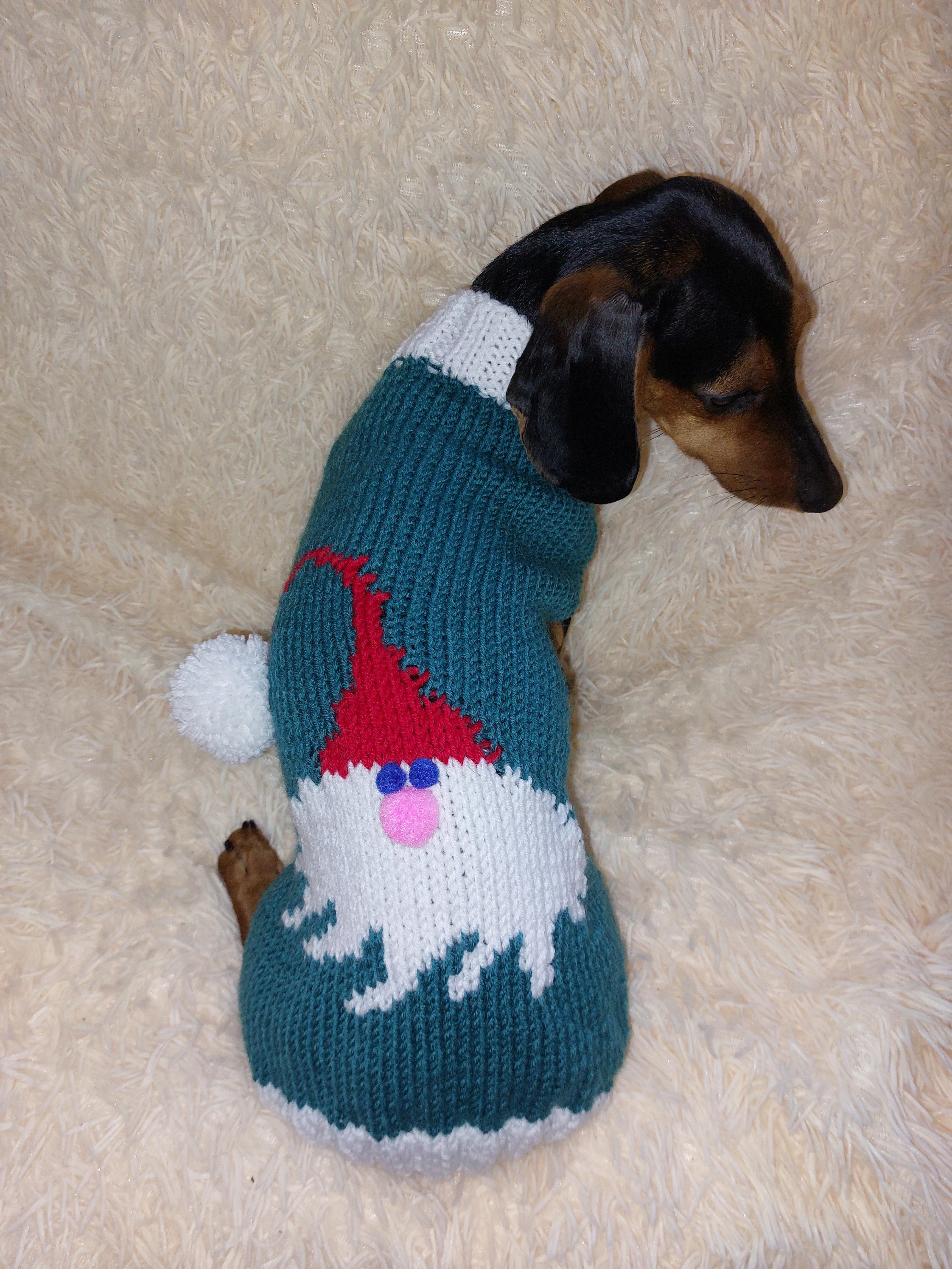 christmas santa claus outfit for dachshund sweater