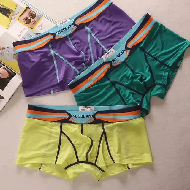 Color Patchwork Sheer Nylon Boxer