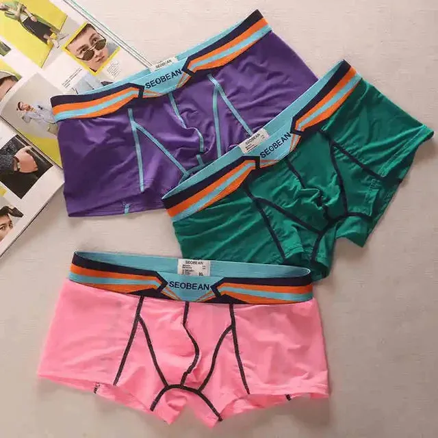 Color Patchwork Sheer Nylon Boxer