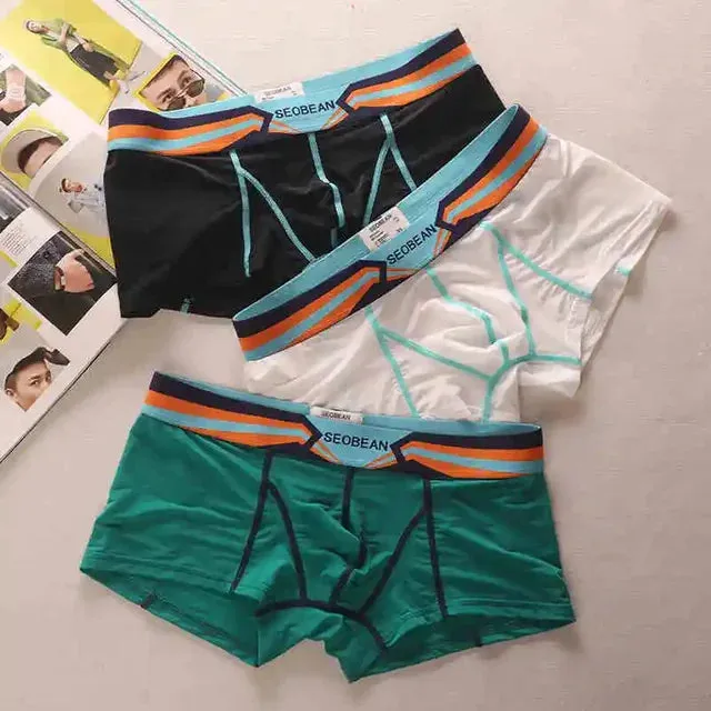 Color Patchwork Sheer Nylon Boxer