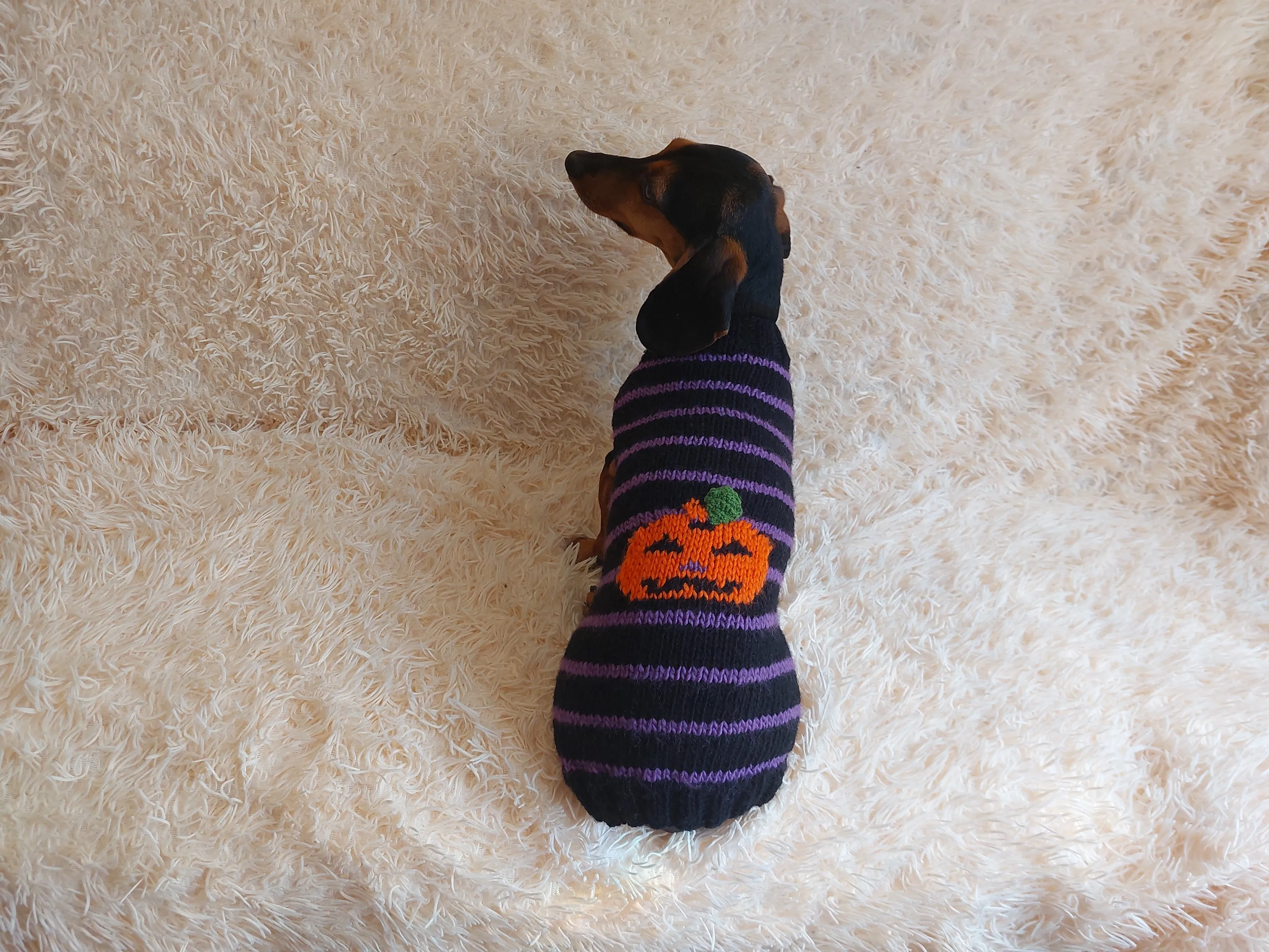 Dog costumes pumpkin sweater, dog costumes for halloween, pumpkin halloween costumes for pets, puppies, cat and dog sweater for halloween