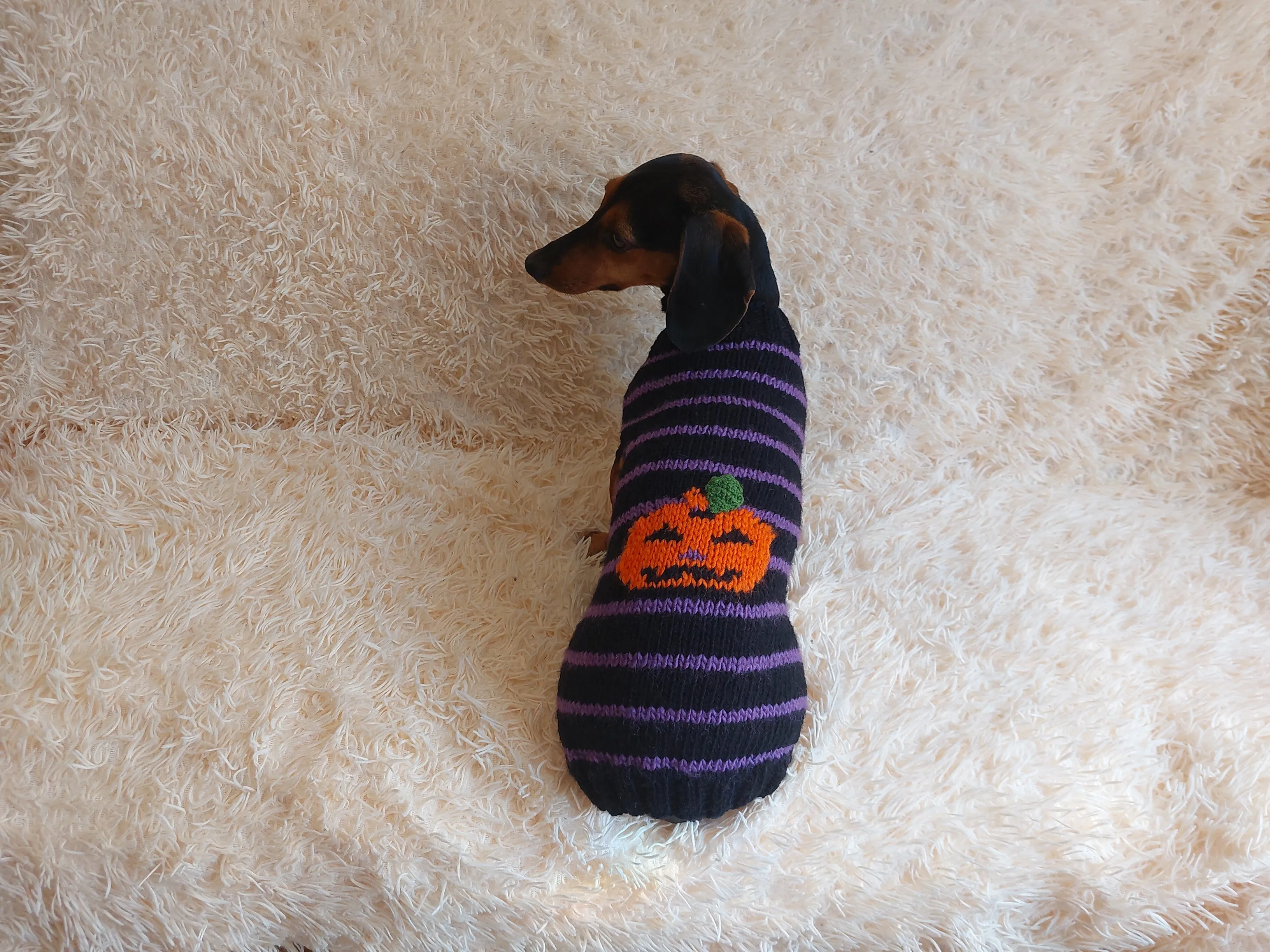 Dog costumes pumpkin sweater, dog costumes for halloween, pumpkin halloween costumes for pets, puppies, cat and dog sweater for halloween