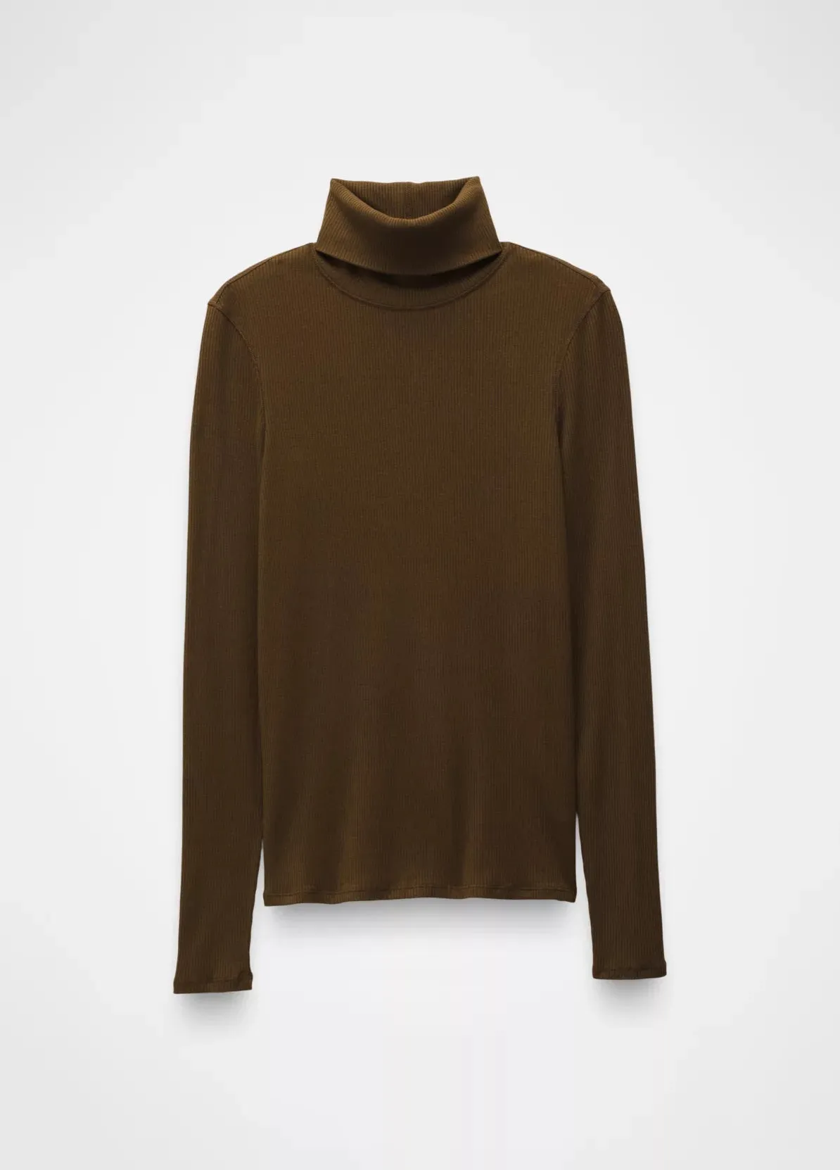 Foundation Rib Turtleneck