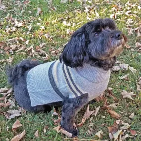 Shimmer Stripes Dog Sweater