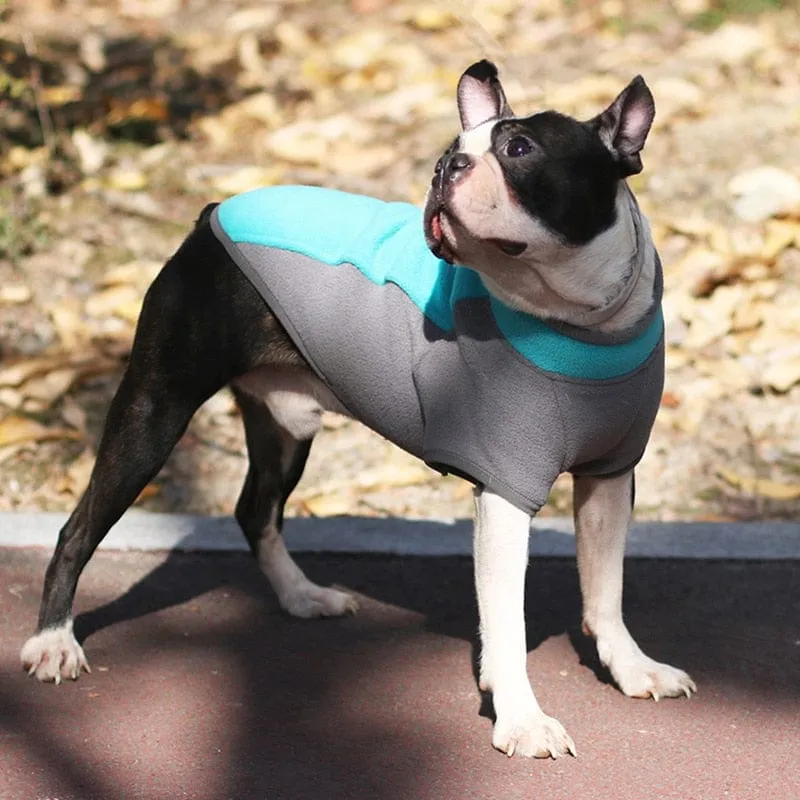 Stretch Dachshund Jacket