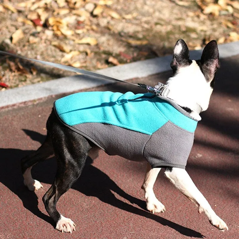 Stretch Dachshund Jacket