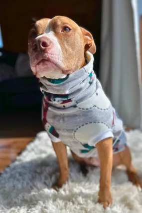 The Toasty Snowman Dog Sweater